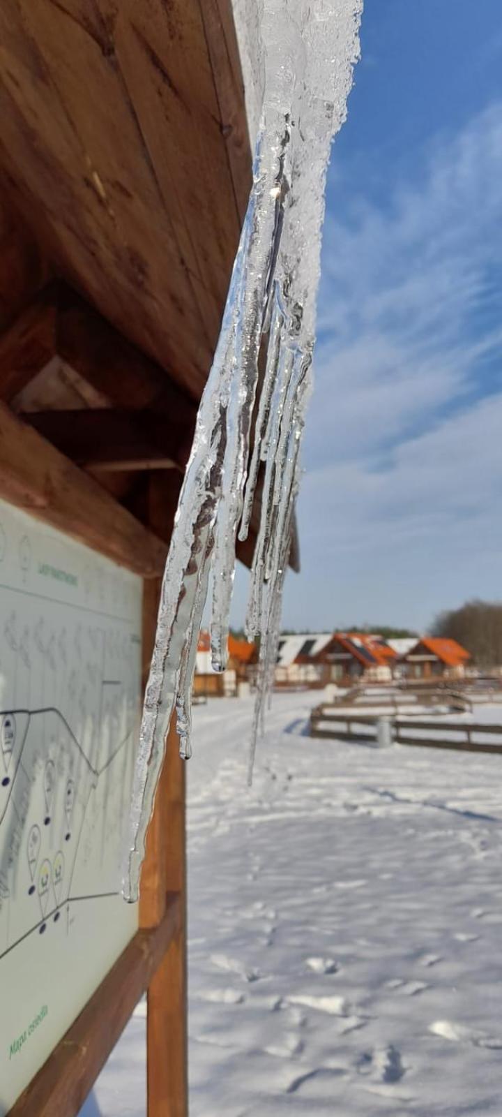 Willa Leśna Ostoja Borowy Mlyn Zewnętrze zdjęcie